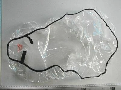 Thule Chariot Regenverdeck Corsaire1 â Bild 2