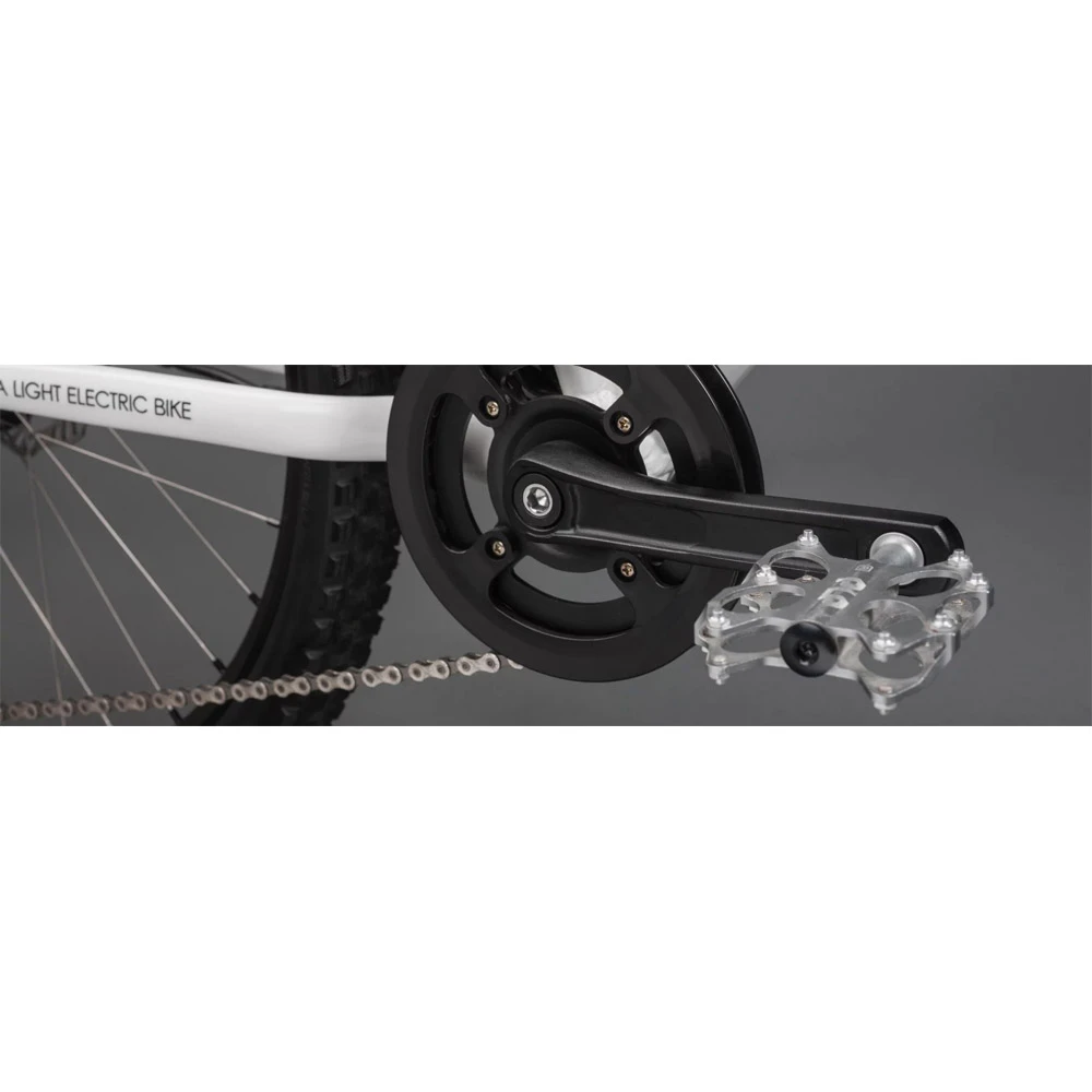 Ben-e-bike, Twenty E-Power 2023 / 20-Zoll Kinder E-Bike – Bild 9