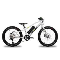 Ben-e-bike, Twenty E-Power 2023 / 20-Zoll Kinder E-Bike