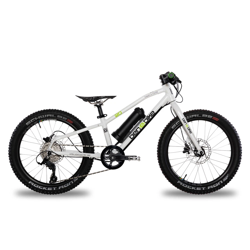 Ben-e-bike, Twenty E-Power 2023 / 20-Zoll Kinder E-Bike