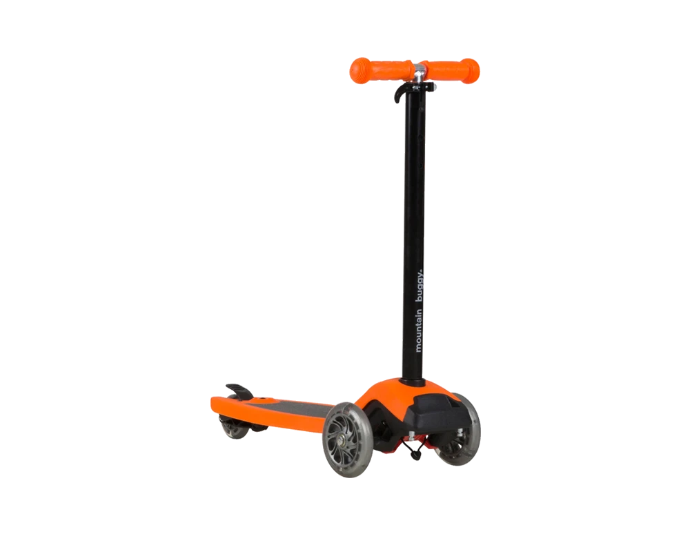 Mountain Buggy Freerider